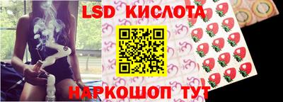 дмт Краснодар