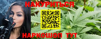 дмт Краснодар
