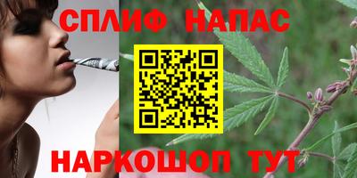 дмт Краснодар