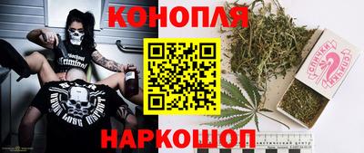 дмт Краснодар