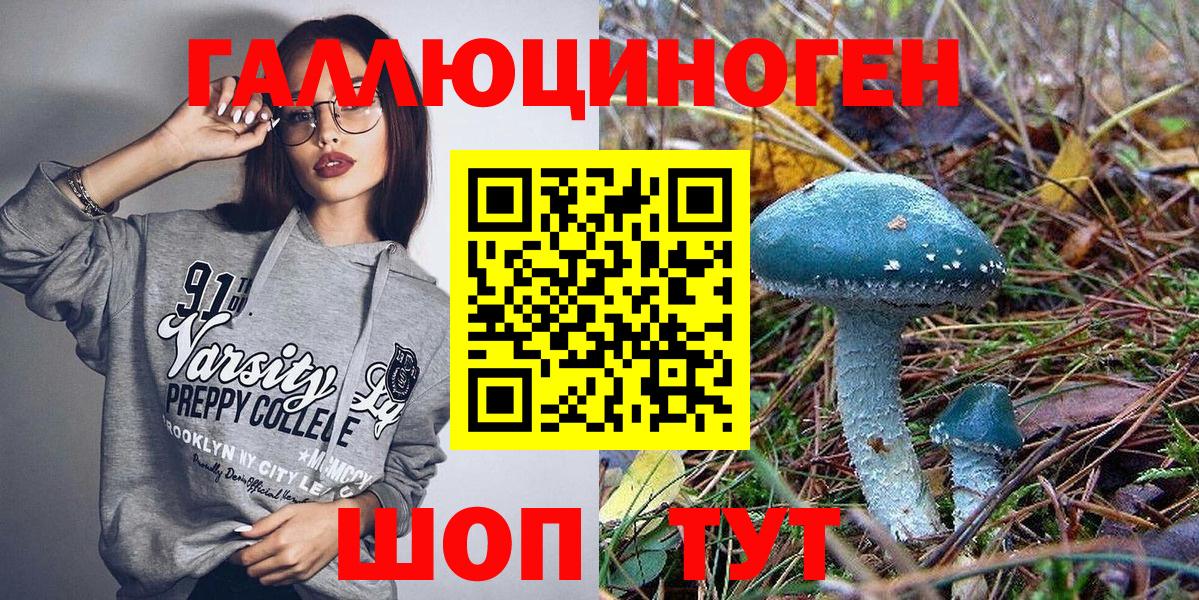 Балашов  Псилоцибиновые грибы Cubensis  Вход с VPN 