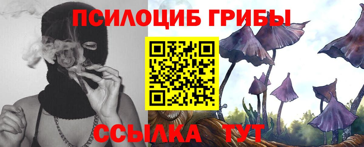 Галлюциногенные грибы GOLDEN TEACHER Балашов